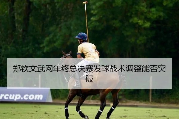 郑钦文武网年终总决赛发球战术调整能否突破